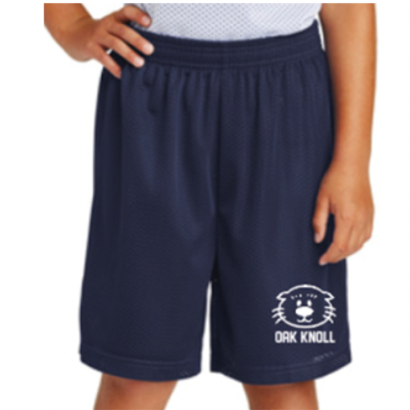 Mesh shorts Main Image